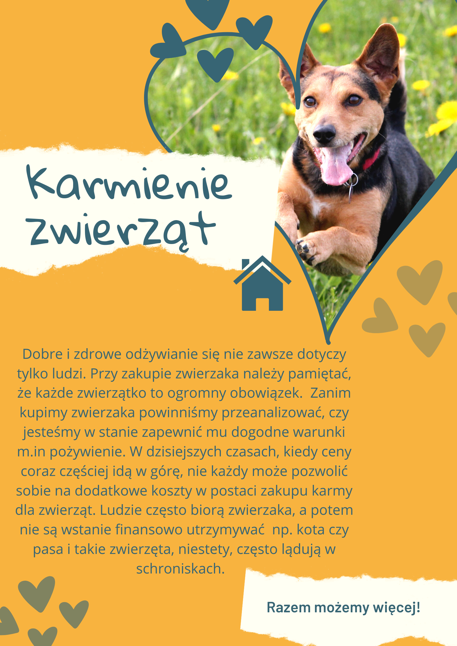 Pomarańczowo zielony uroczy plakat dla schroniska o adopcji